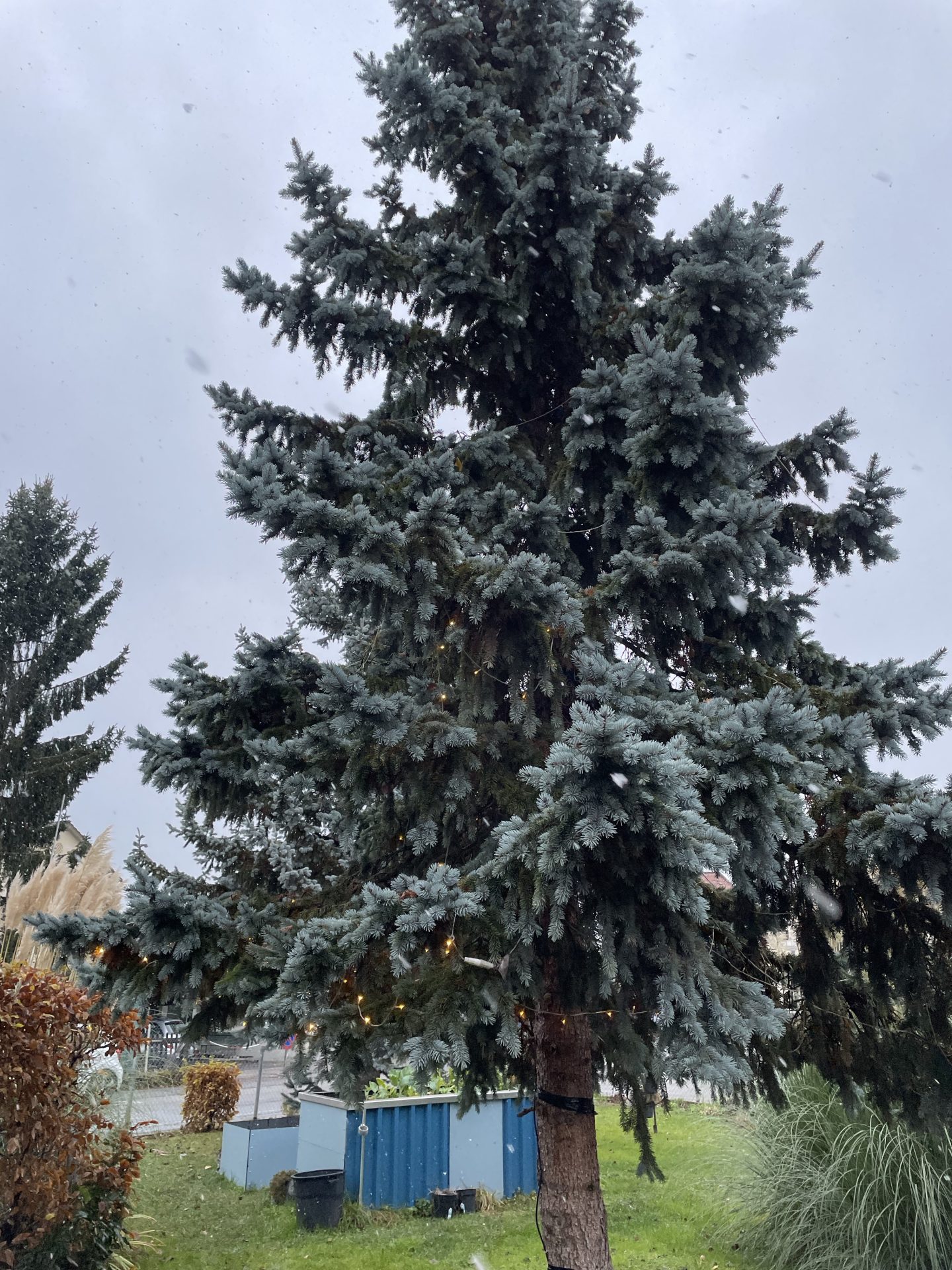 Der erste Schnee