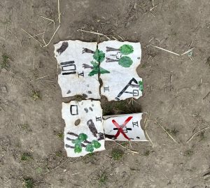 Bei gutem Wetter und einer kleinen Gruppe Kinder haben wir unser Abschlussfest an der Grillstelle gemacht. Ein Schatz musste gefunden werden.