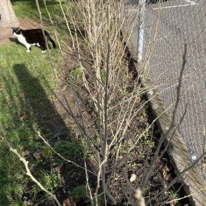 Es ist so beeindruckend, wie die Natur sich der kalten Jahreszeit anpassen kann, um danach einen Neuanfang zu starten.