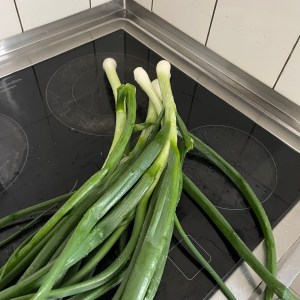 Frische Frühlingszwiebeln auf einem Kochfeld.